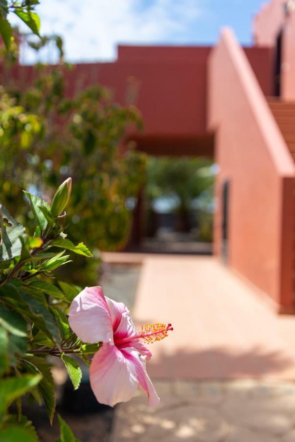 Apartamento Blu Gardenia Corralejo Exterior foto